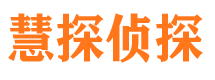 龙川调查公司